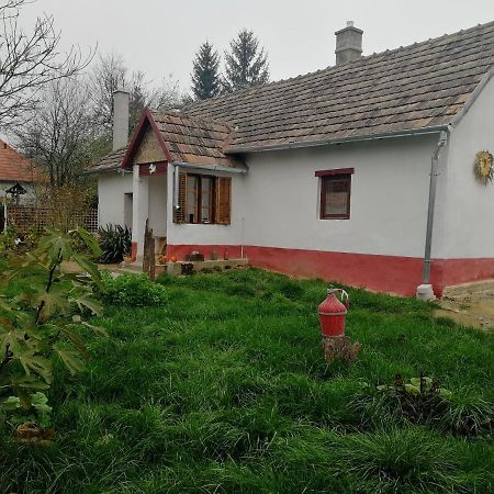 Zalaszentgrót Traditionelles Bauernhaus Flieder מראה חיצוני תמונה