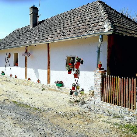 Zalaszentgrót Traditionelles Bauernhaus Flieder מראה חיצוני תמונה