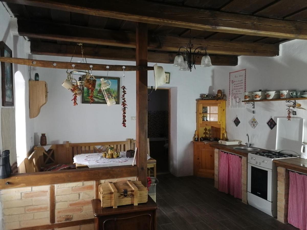 Zalaszentgrót Traditionelles Bauernhaus Flieder מראה חיצוני תמונה