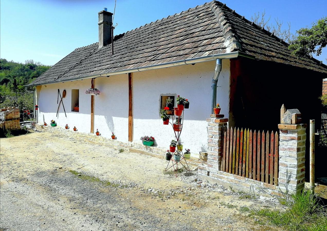 Zalaszentgrót Traditionelles Bauernhaus Flieder מראה חיצוני תמונה